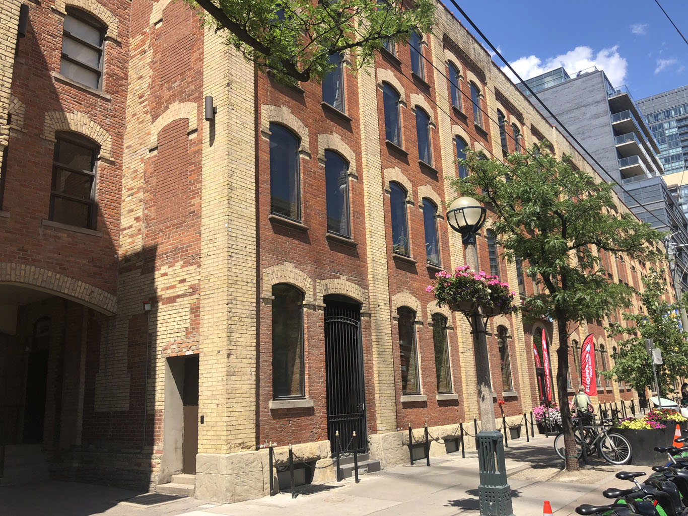 Patagonia - King West